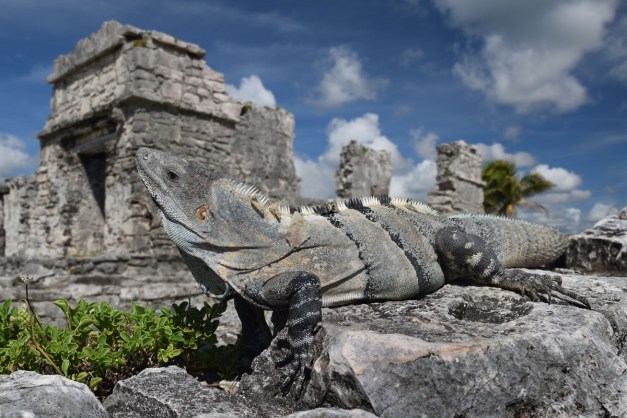 Tulum, Quintana Roo